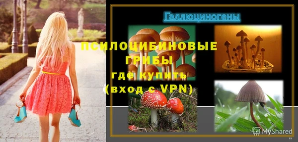 таблы Алексин