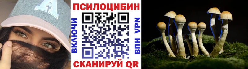 Псилоцибиновые грибы Cubensis Чердынь
